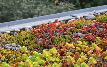 the cost of Edgerley green roof installation