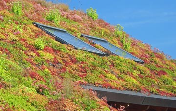 Edgerley living roof systems
